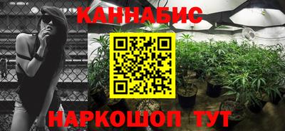 Альфа ПВП Обь