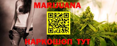 Альфа ПВП Обь